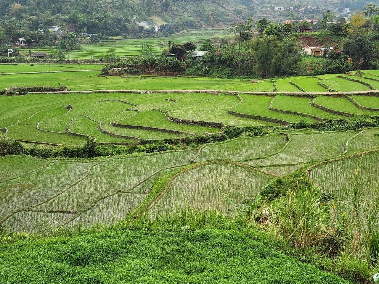 The Ultimate Guide to Central Highlands Cycling: A Journey into Vietnam's Wild Heart